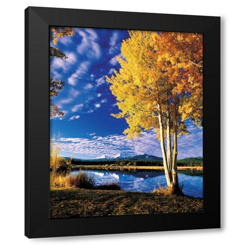 Sisters in Autumn II Black Modern Wood Framed Art Print with Double Matting by Leahy, Ike