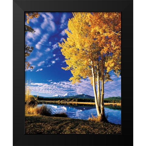Sisters in Autumn II Black Modern Wood Framed Art Print by Leahy, Ike