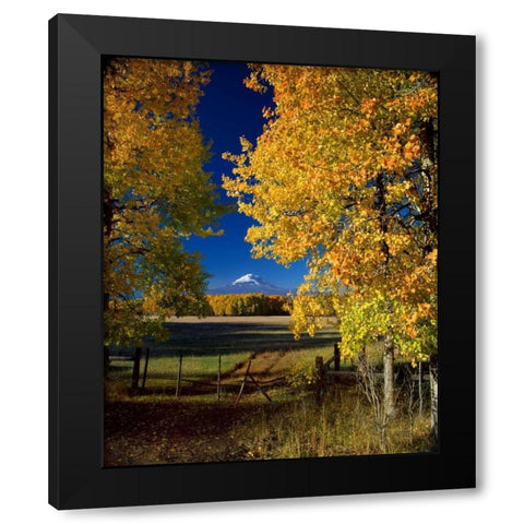 Mt. Adams VI Black Modern Wood Framed Art Print by Leahy, Ike