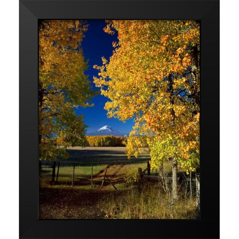 Mt. Adams VI Black Modern Wood Framed Art Print by Leahy, Ike