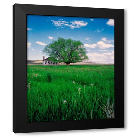 Pioneer School Black Modern Wood Framed Art Print by Leahy, Ike