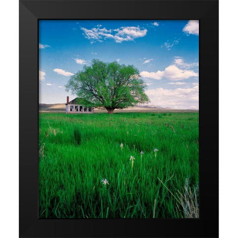 Pioneer School Black Modern Wood Framed Art Print by Leahy, Ike