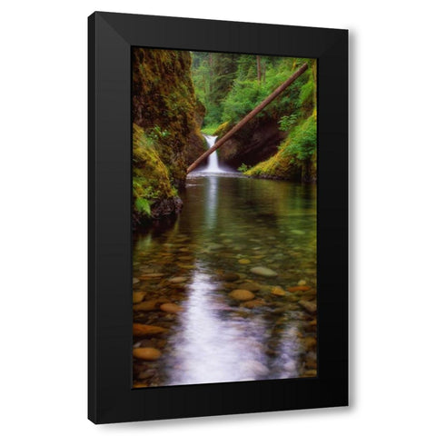Punch Bowl Falls Black Modern Wood Framed Art Print with Double Matting by Leahy, Ike