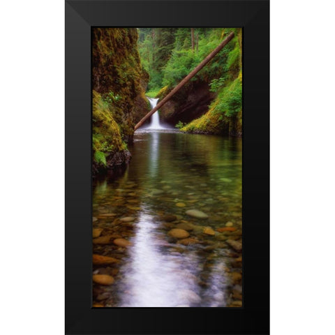 Punch Bowl Falls Black Modern Wood Framed Art Print by Leahy, Ike