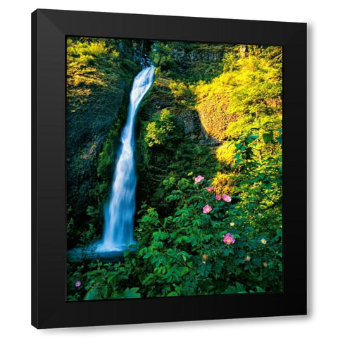 Horse Tail Falls Black Modern Wood Framed Art Print with Double Matting by Leahy, Ike