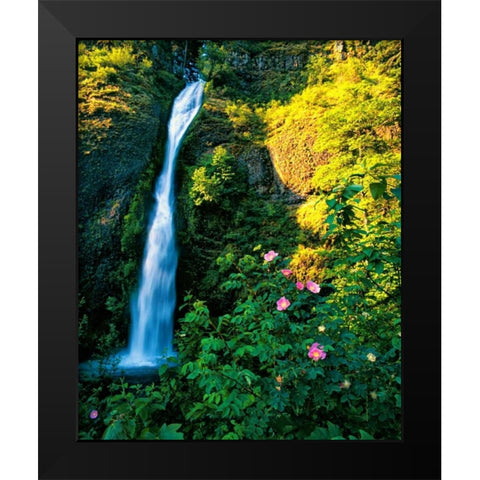 Horse Tail Falls Black Modern Wood Framed Art Print by Leahy, Ike