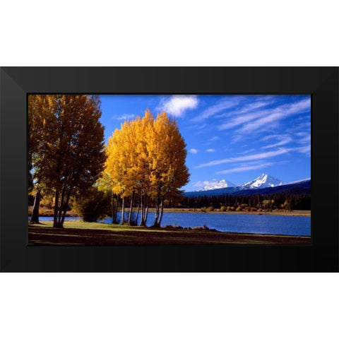 Sisters in Autumn III Black Modern Wood Framed Art Print by Leahy, Ike