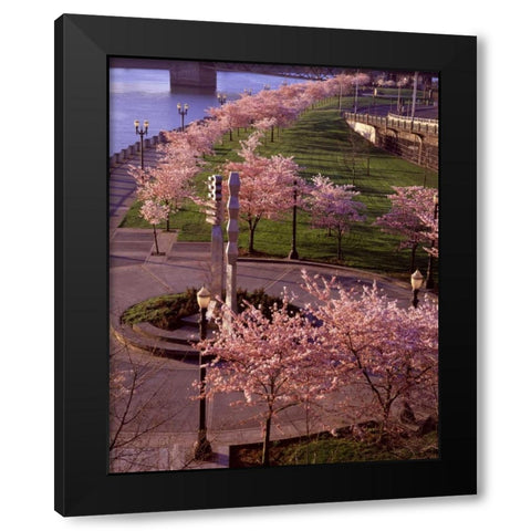 Spring in Portland Black Modern Wood Framed Art Print with Double Matting by Leahy, Ike