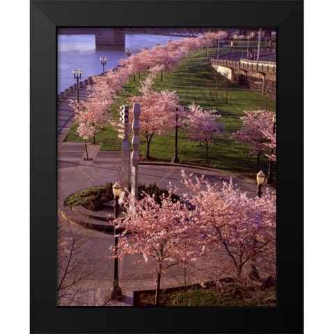 Spring in Portland Black Modern Wood Framed Art Print by Leahy, Ike