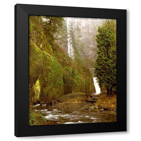 Multnomah Falls Creek Side Black Modern Wood Framed Art Print with Double Matting by Leahy, Ike
