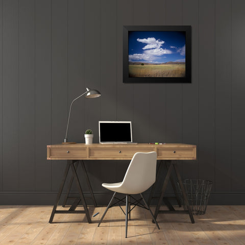 Lone Tree Black Modern Wood Framed Art Print by Leahy, Ike
