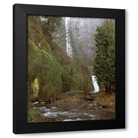 Multnomah Falls Creek Side II Black Modern Wood Framed Art Print with Double Matting by Leahy, Ike