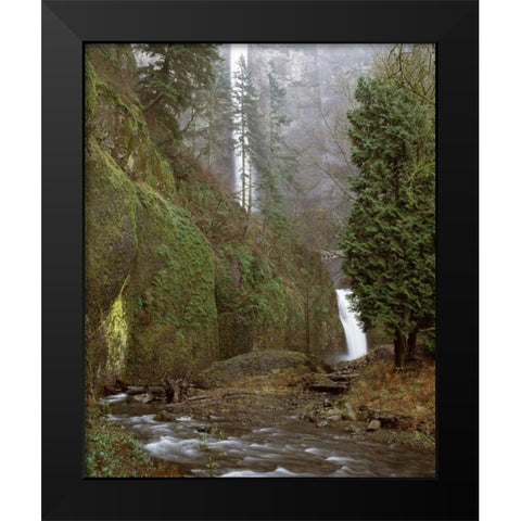 Multnomah Falls Creek Side II Black Modern Wood Framed Art Print by Leahy, Ike