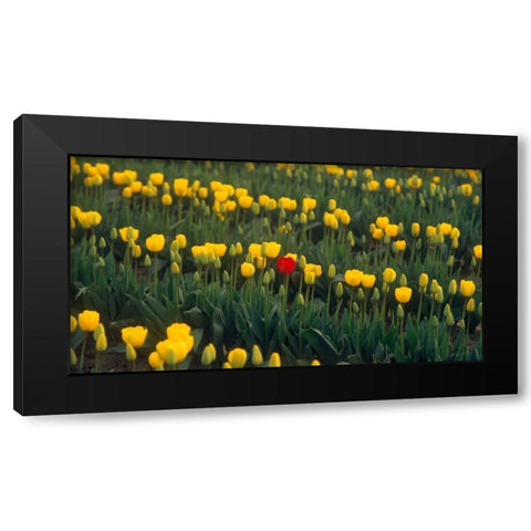 Me Black Modern Wood Framed Art Print by Leahy, Ike