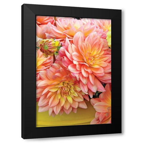 Spring Garden I Black Modern Wood Framed Art Print with Double Matting by Love, Maureen