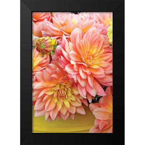 Spring Garden I Black Modern Wood Framed Art Print by Love, Maureen