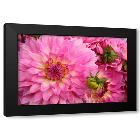 Spring Garden II Black Modern Wood Framed Art Print with Double Matting by Love, Maureen