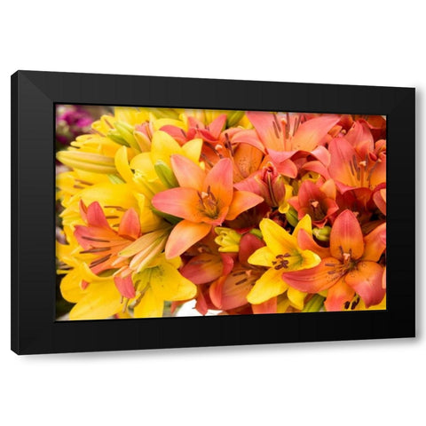 Sunny Lily I Black Modern Wood Framed Art Print by Love, Maureen