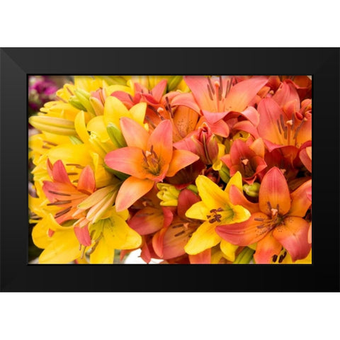 Sunny Lily I Black Modern Wood Framed Art Print by Love, Maureen