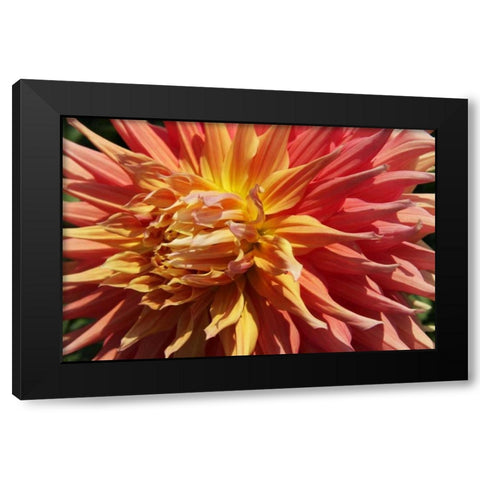 Warm Sun I Black Modern Wood Framed Art Print with Double Matting by Love, Maureen