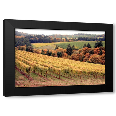 Fall in Wine Country I Black Modern Wood Framed Art Print by Love, Maureen