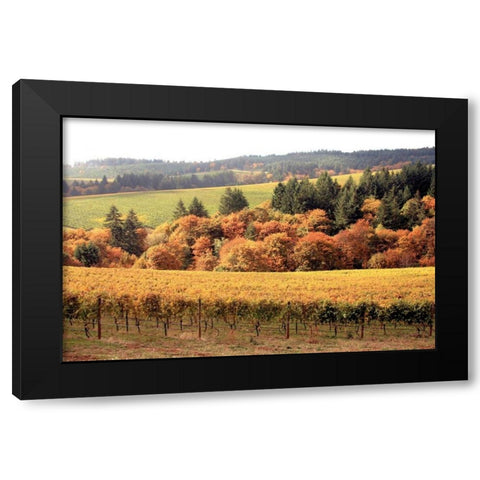 Fall in Wine Country I Black Modern Wood Framed Art Print by Love, Maureen
