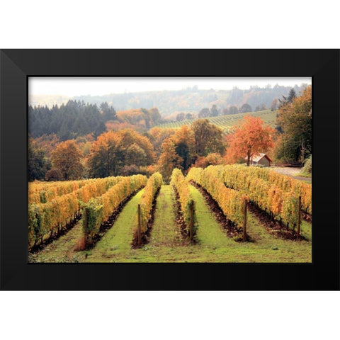 Bella Vida I Black Modern Wood Framed Art Print by Love, Maureen