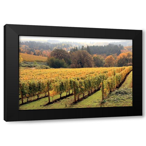 Bella Vida II Black Modern Wood Framed Art Print with Double Matting by Love, Maureen