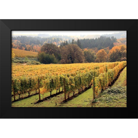 Bella Vida II Black Modern Wood Framed Art Print by Love, Maureen
