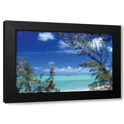 Pelican Cay Black Modern Wood Framed Art Print with Double Matting by Malvin, Larry