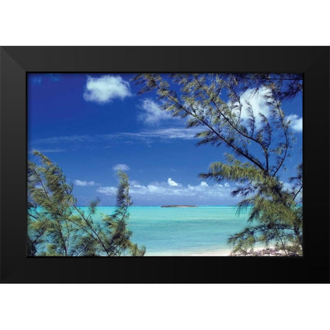 Pelican Cay Black Modern Wood Framed Art Print by Malvin, Larry