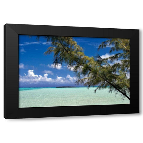 Sandbar Pelican Cay Black Modern Wood Framed Art Print by Malvin, Larry