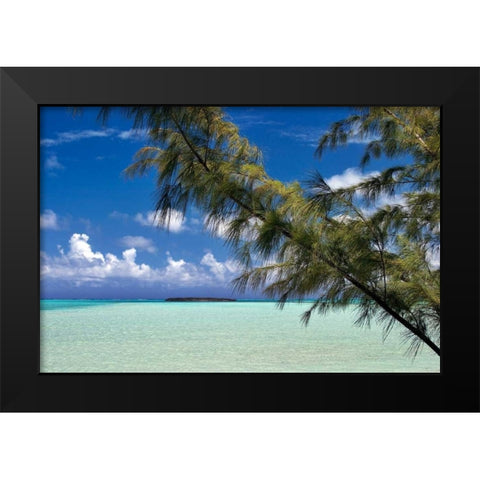 Sandbar Pelican Cay Black Modern Wood Framed Art Print by Malvin, Larry
