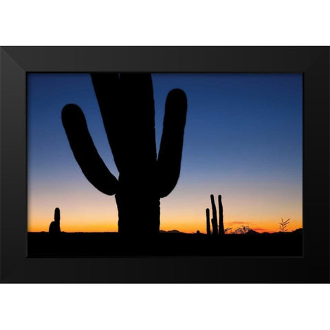 Clear Saguaro Sunset I Black Modern Wood Framed Art Print by Malvin, Larry