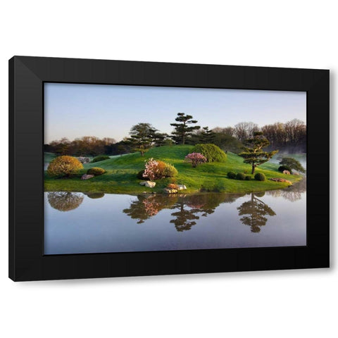 Botanic Dawn I Black Modern Wood Framed Art Print by Malvin, Larry