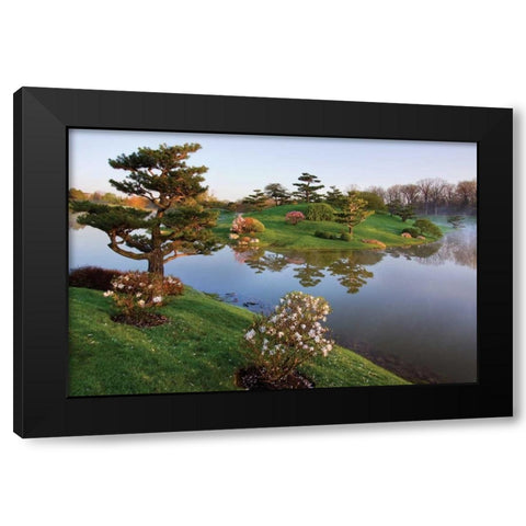 Botanic Dawn II Black Modern Wood Framed Art Print by Malvin, Larry