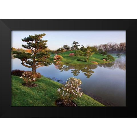 Botanic Dawn II Black Modern Wood Framed Art Print by Malvin, Larry