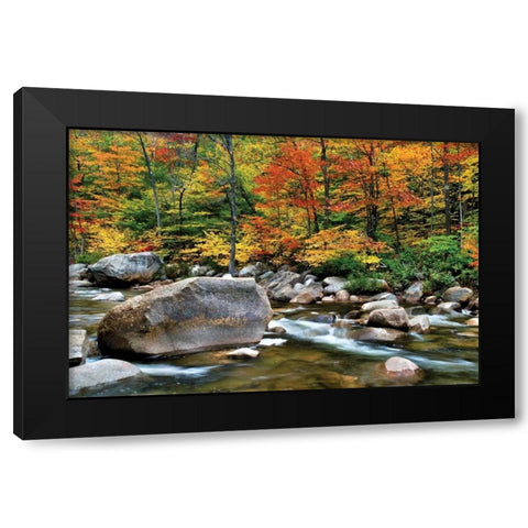 Swift River Pass Scenic Black Modern Wood Framed Art Print by Malvin, Larry