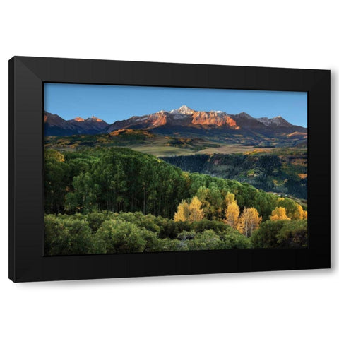 Wilson Peak Yellow Aspen Hills Black Modern Wood Framed Art Print by Malvin, Larry