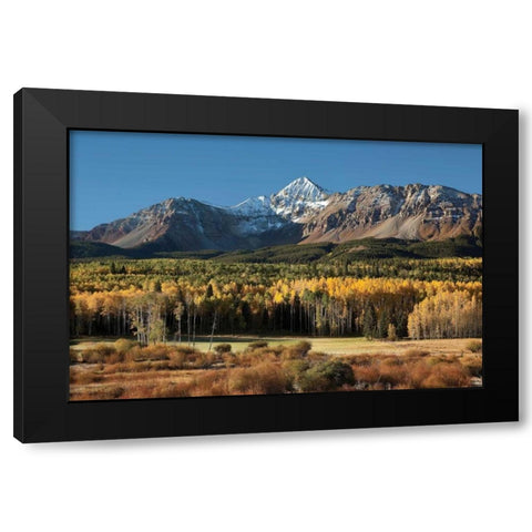 Wilson Peak Yellow Aspens Black Modern Wood Framed Art Print by Malvin, Larry