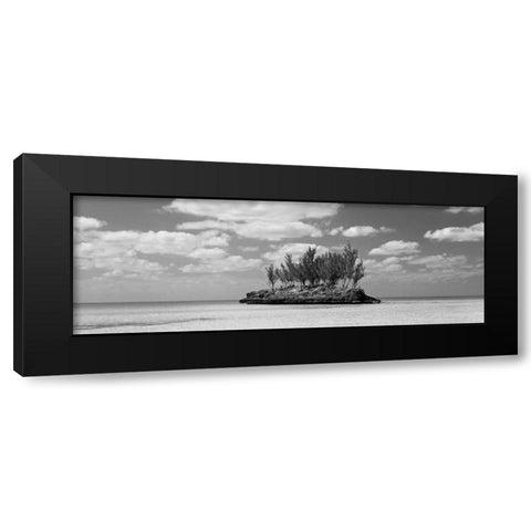 Gaulding Cay Conch BW Panel Black Modern Wood Framed Art Print by Malvin, Larry