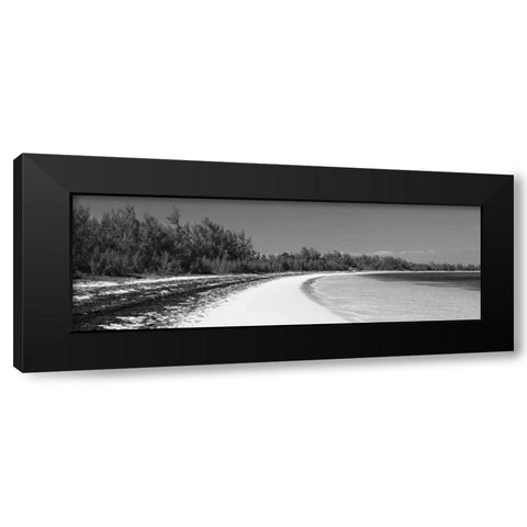 Winding Bay II BW Panel Black Modern Wood Framed Art Print by Malvin, Larry