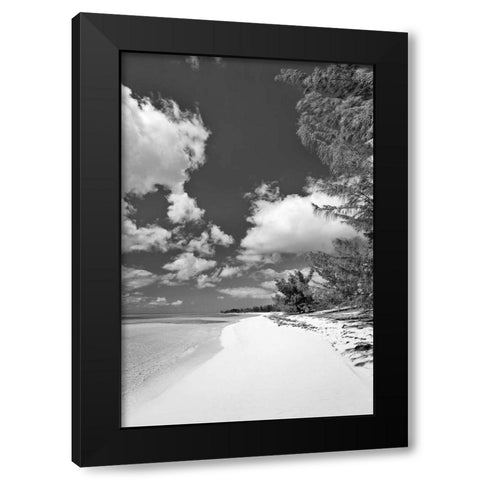 Deep Creek Tree BW Black Modern Wood Framed Art Print by Malvin, Larry