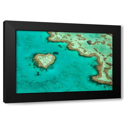Great Barrier Reef II Black Modern Wood Framed Art Print with Double Matting by Malvin, Larry