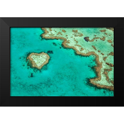 Great Barrier Reef II Black Modern Wood Framed Art Print by Malvin, Larry