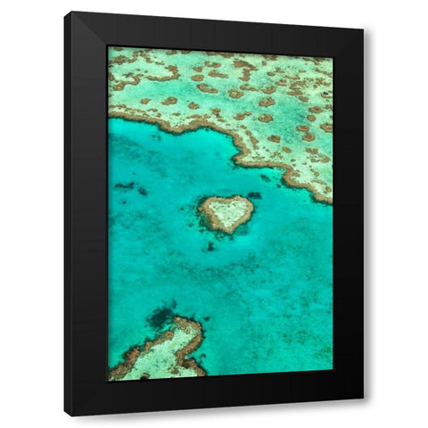 Heart Reef I Black Modern Wood Framed Art Print with Double Matting by Malvin, Larry