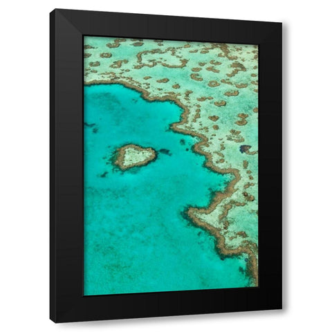 Heart Reef II Black Modern Wood Framed Art Print with Double Matting by Malvin, Larry