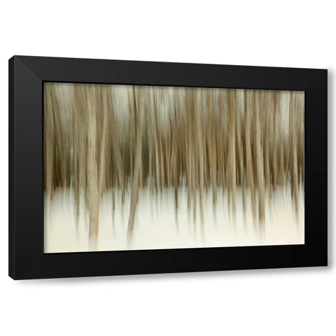 Birch Blur II Black Modern Wood Framed Art Print by Malvin, Larry