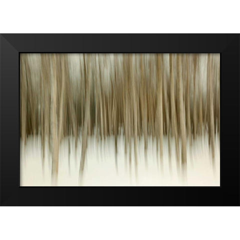Birch Blur II Black Modern Wood Framed Art Print by Malvin, Larry