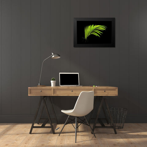 Fern on Black Black Modern Wood Framed Art Print by Malvin, Larry